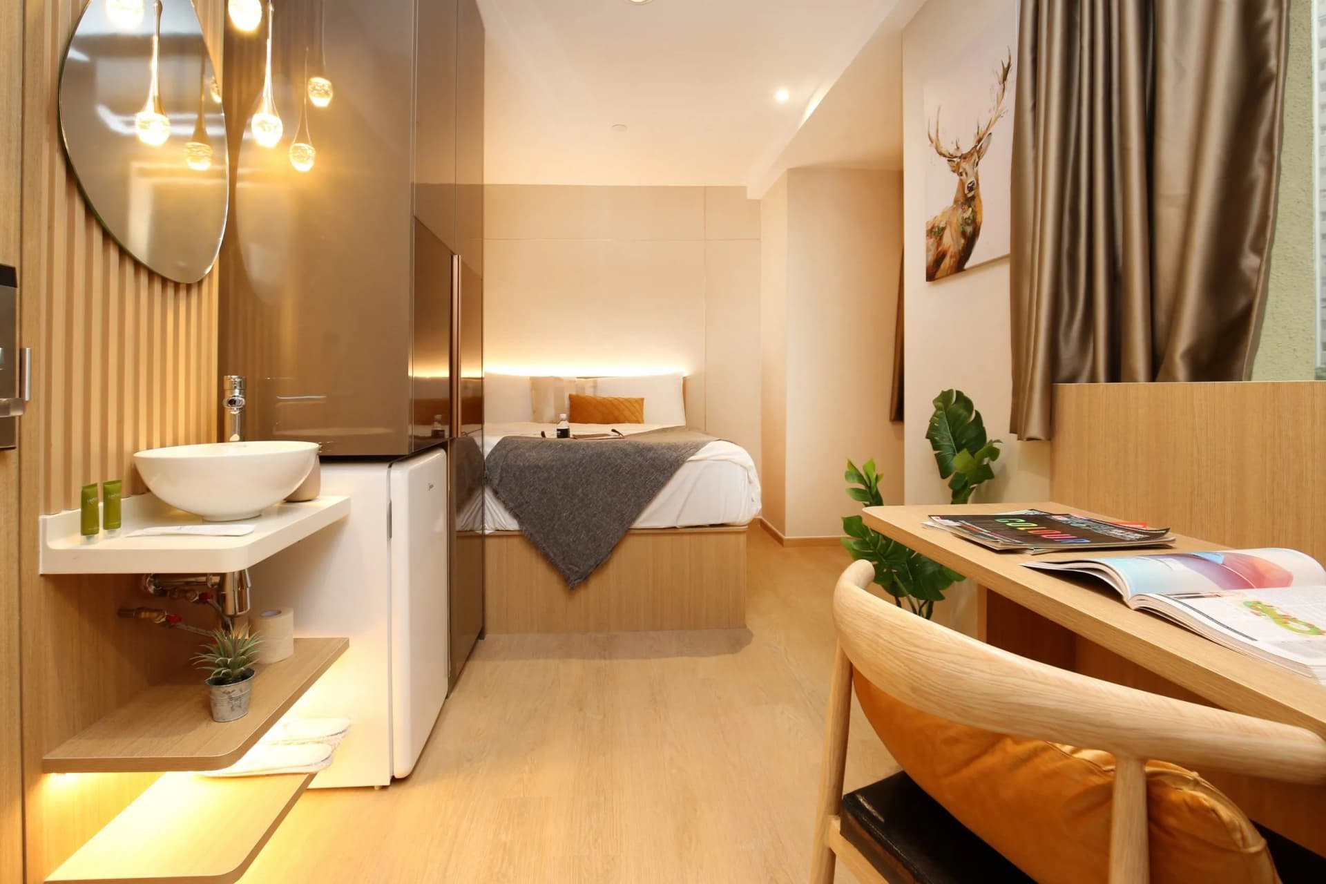 Studio at Coliwoo Orchard in D9, Singapore - Photo 2