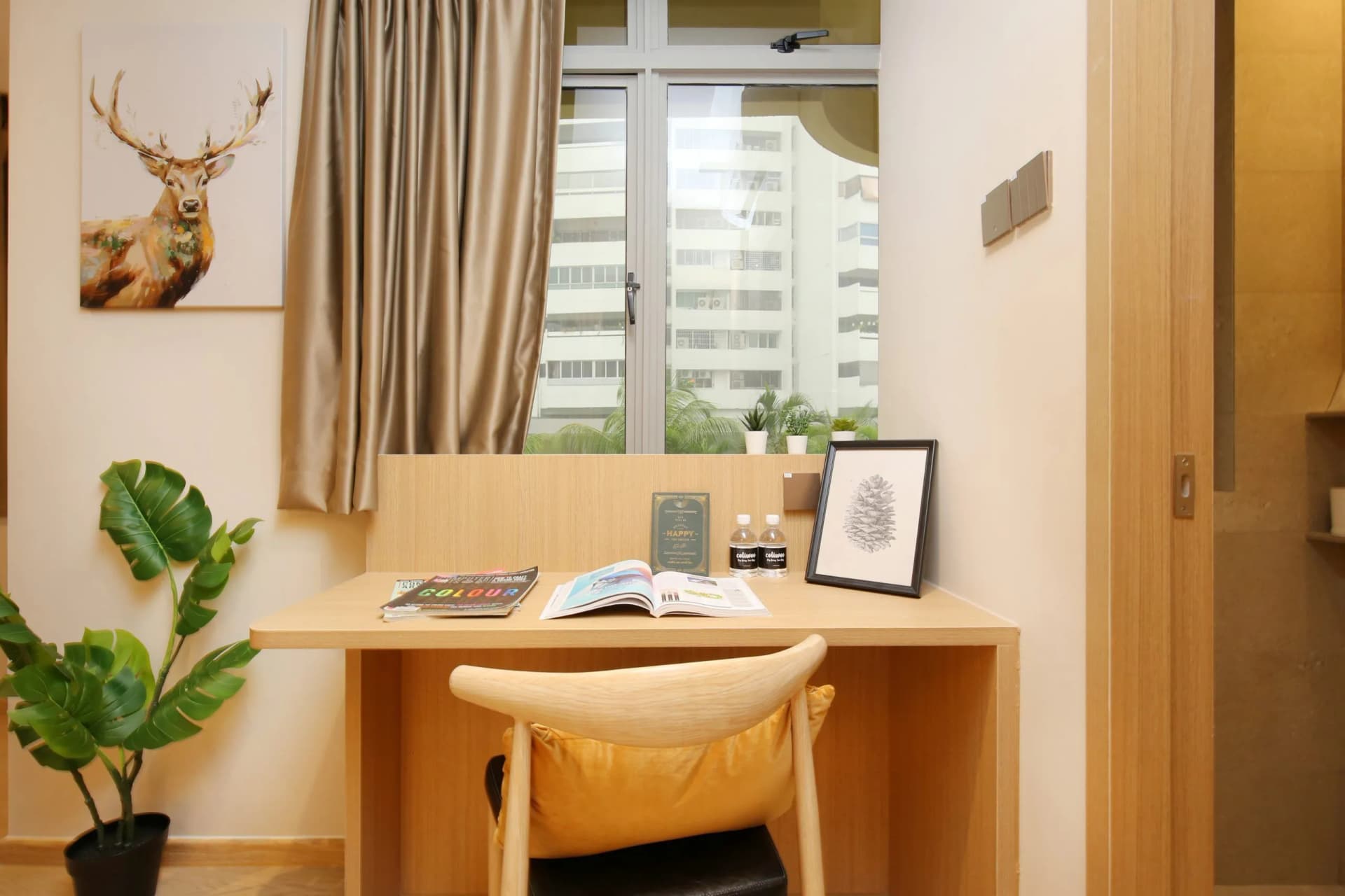 Studio at Coliwoo Orchard in D9, Singapore - Photo 3