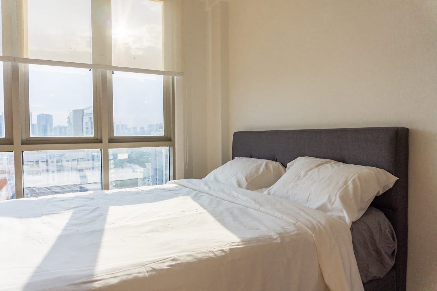 Common at Mutiara Penthouse in D10, Singapore - Photo 2