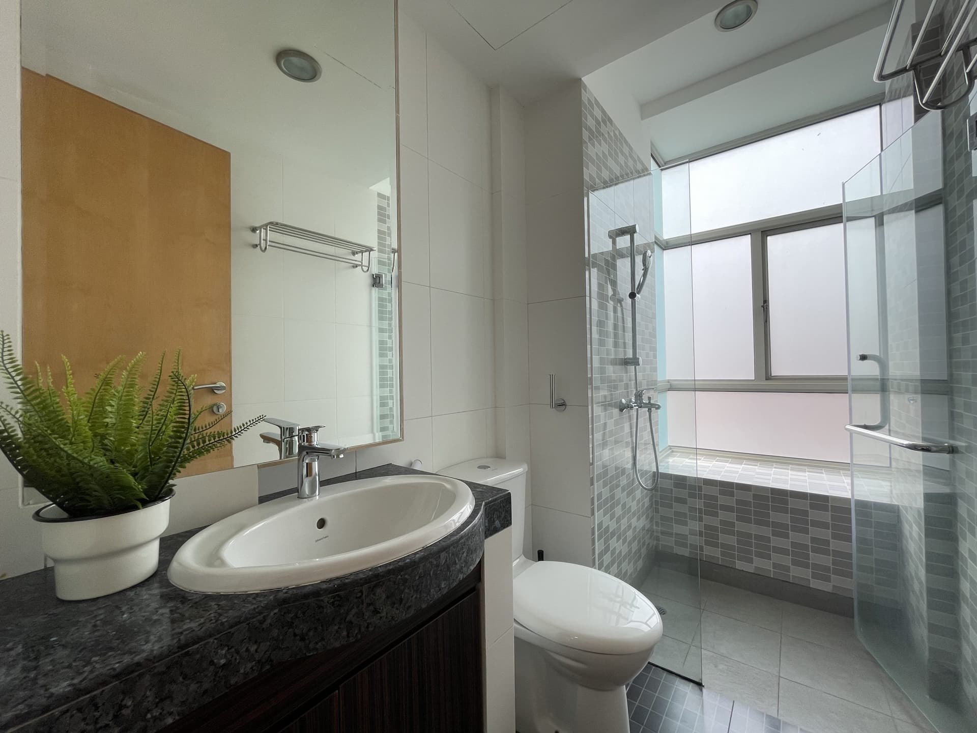 Ensuite at 60 WILKIE in D09, Singapore - Photo 5