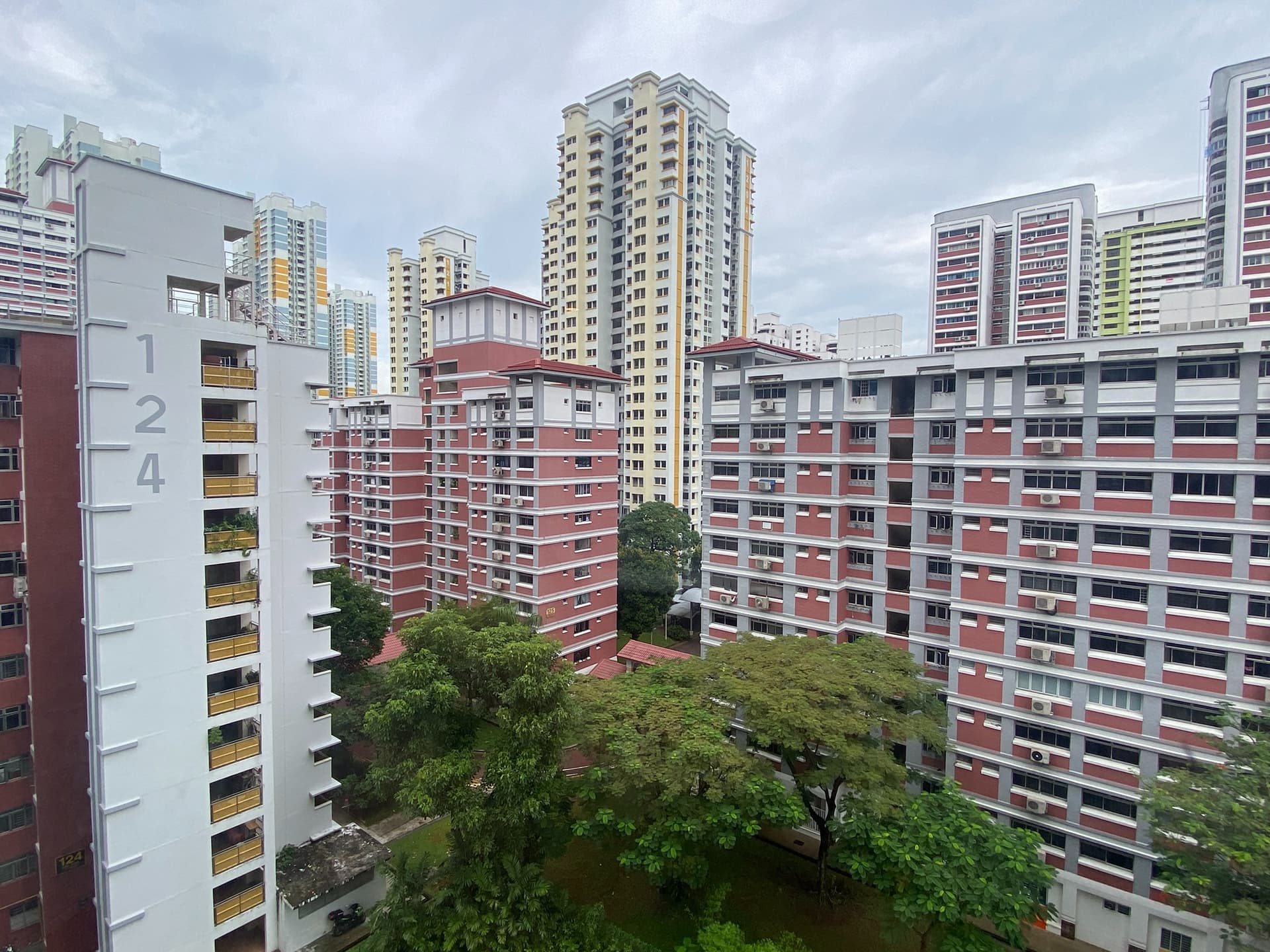Common at Central Green in D03, Singapore - Photo 4