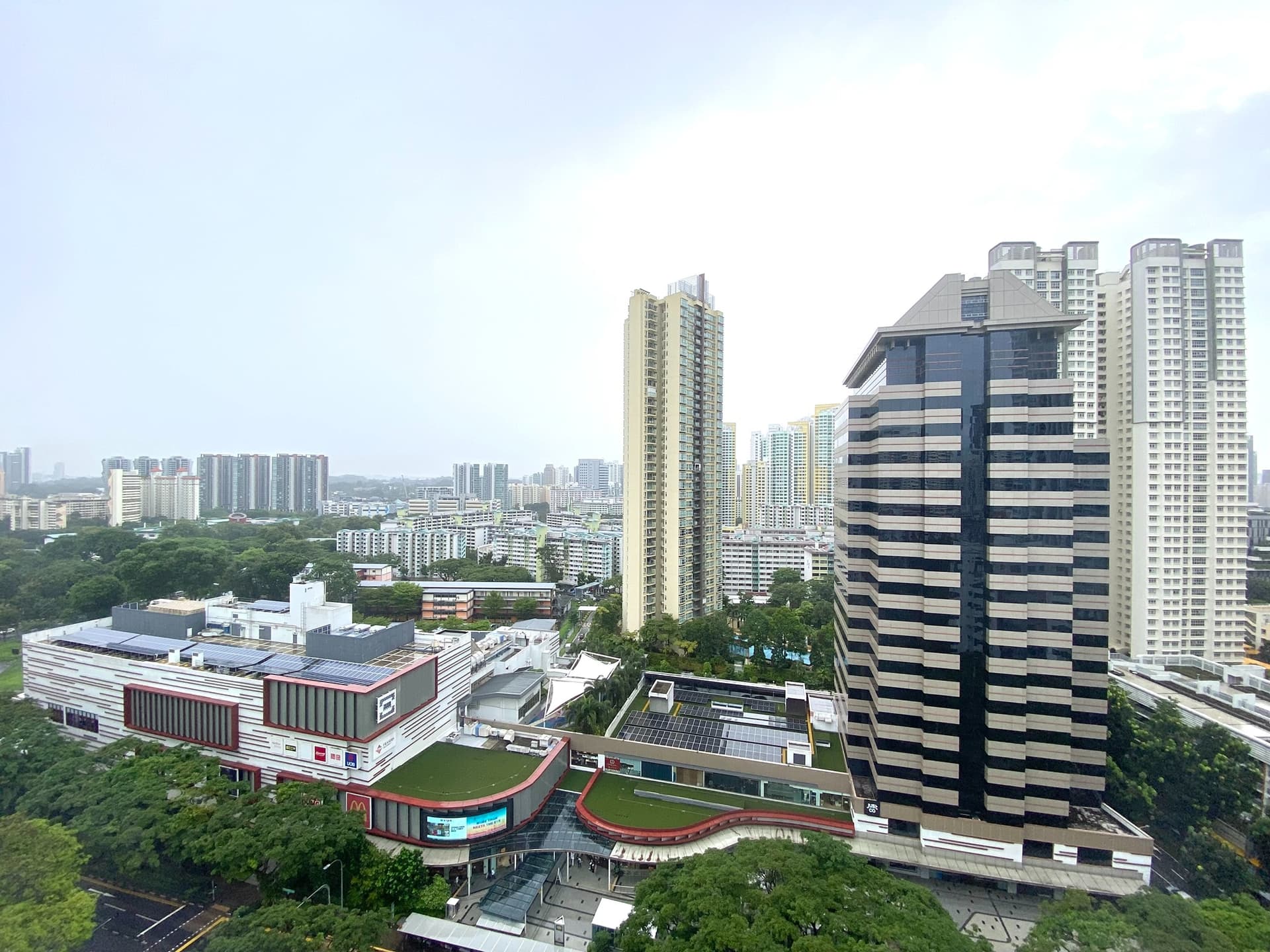 Common at Central Green in D03, Singapore - Photo 4