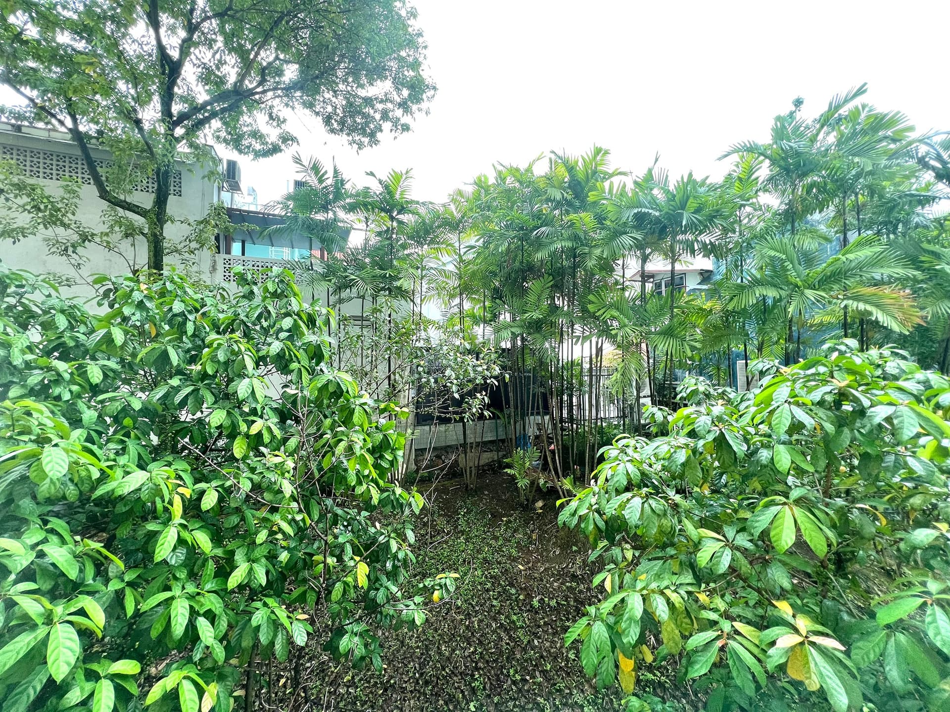 Common at Emerald Garden in D01, Singapore - Photo 4