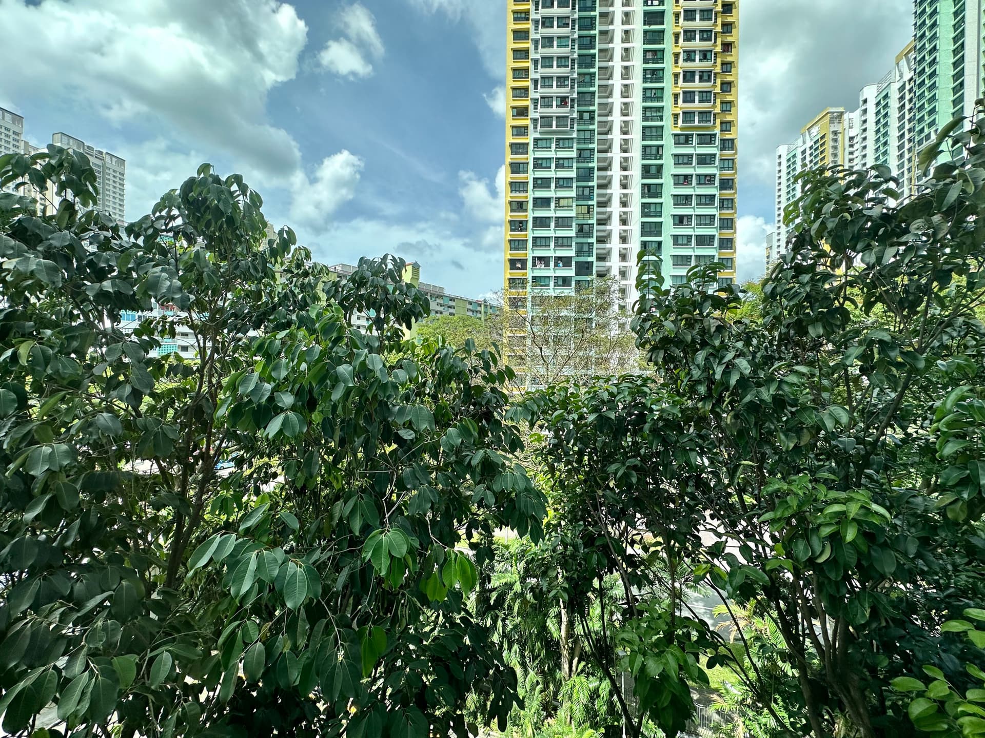 Common at EMERALD PARK in D03, Singapore - Photo 3