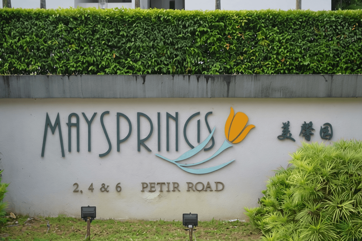 Maysprings in D23, Singapore - Photo 3