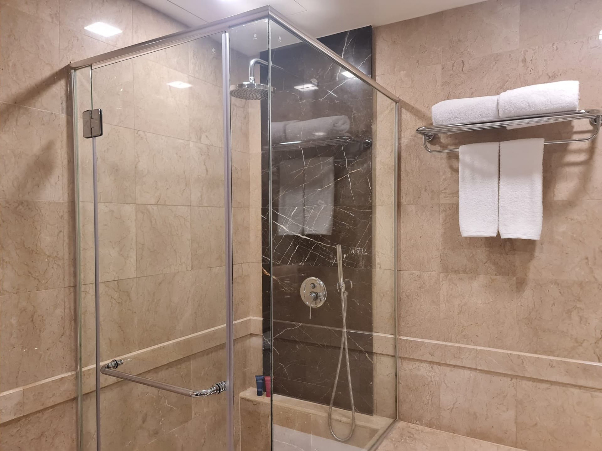 Ensuite at Orchard Scotts Residences in D10, Singapore - Photo 3