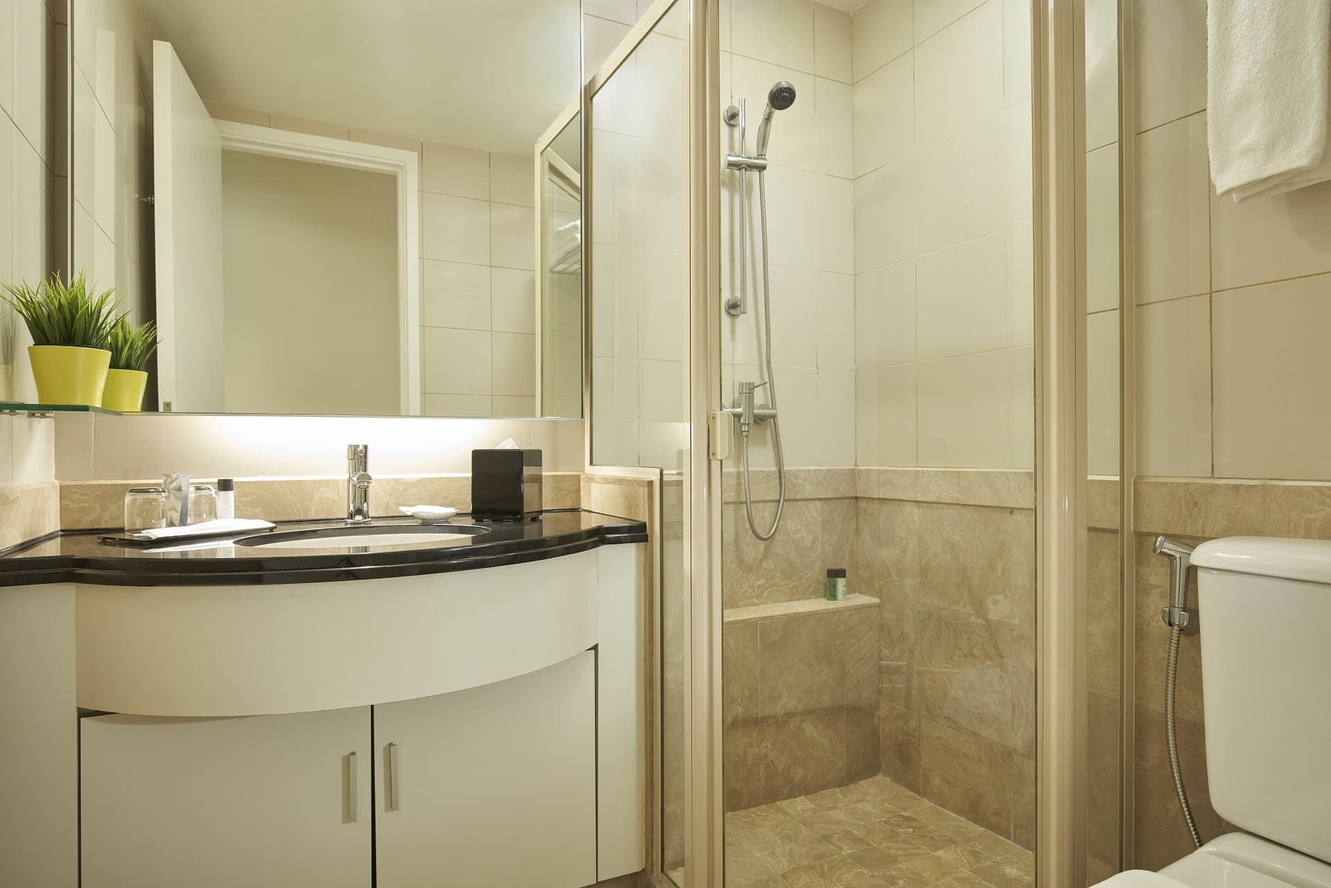 Ensuite at Orchard Scotts Residences in D10, Singapore - Photo 4