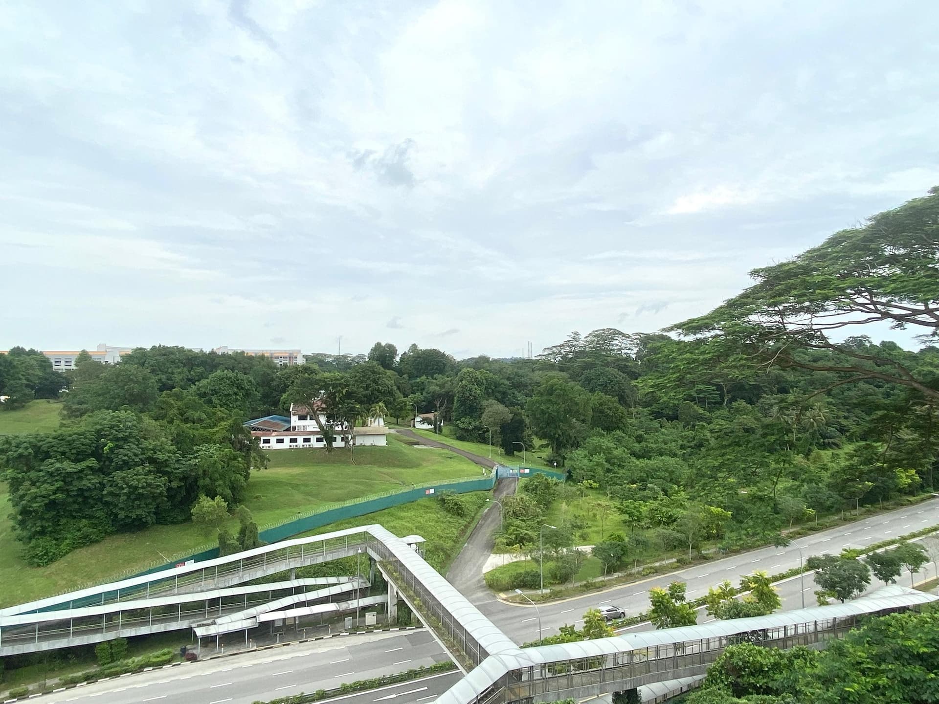 Common at Pine Grove in D21, Singapore - Photo 3