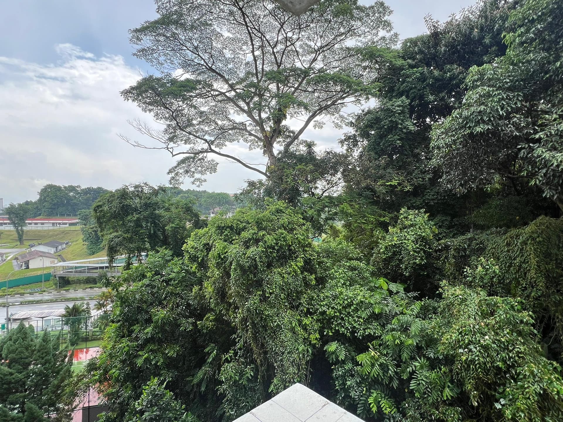 Common at Pine Grove in D21, Singapore - Photo 4