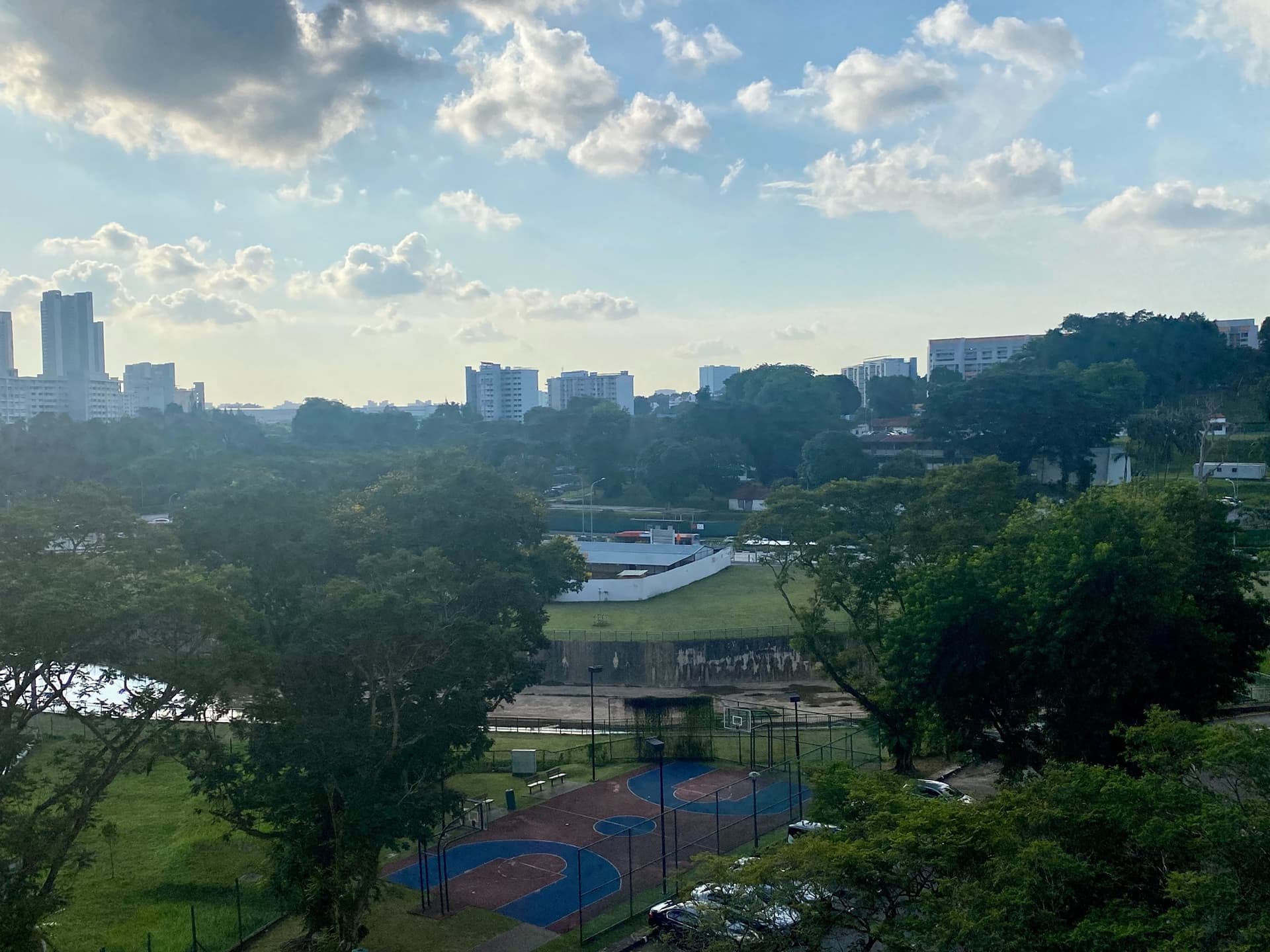 Common at Pine Grove in D21, Singapore - Photo 4