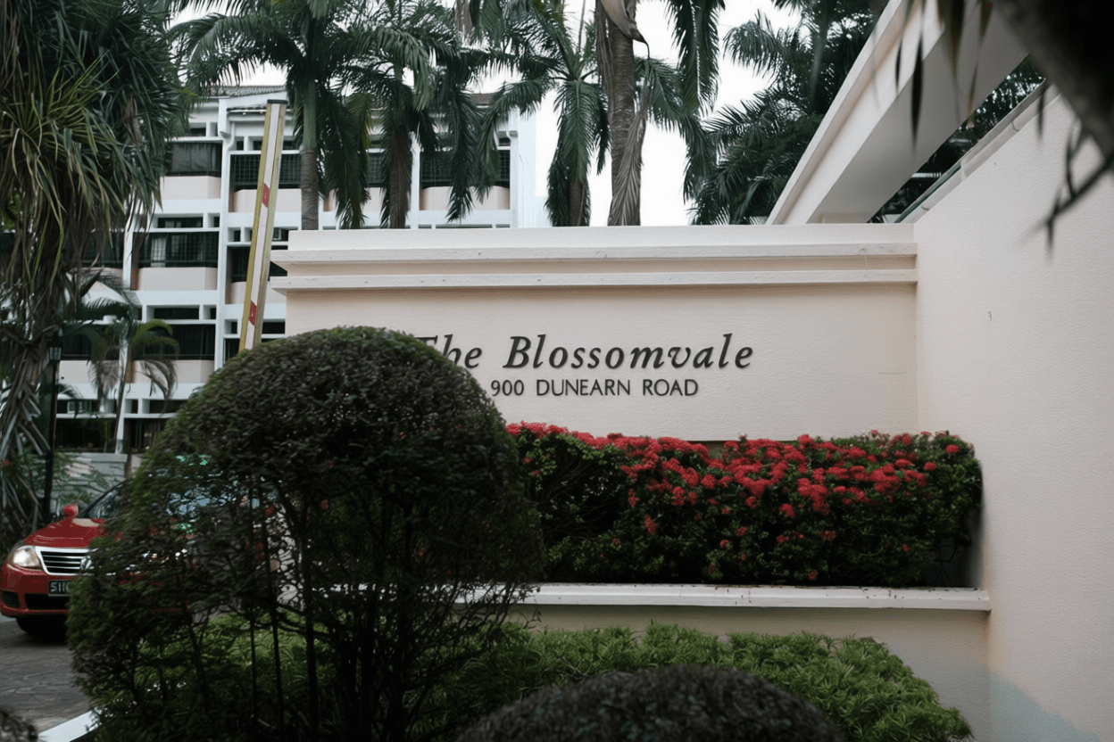 The Blossomvale in D21, Singapore - Photo 5