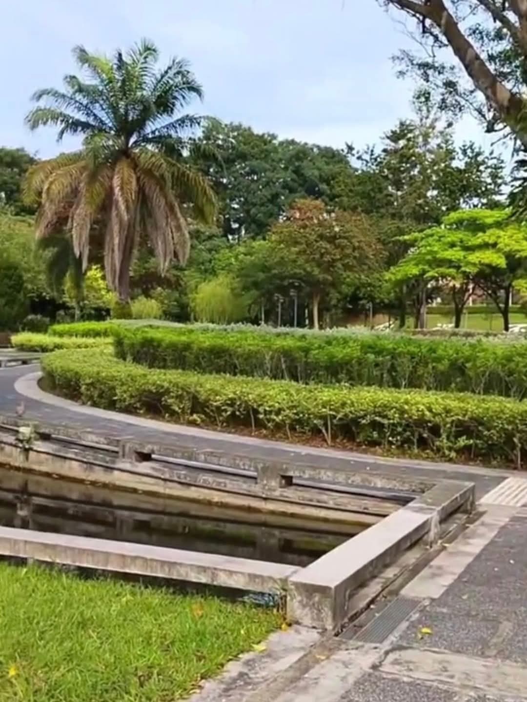 Yunnan Gardens in D22, Singapore - Photo 5