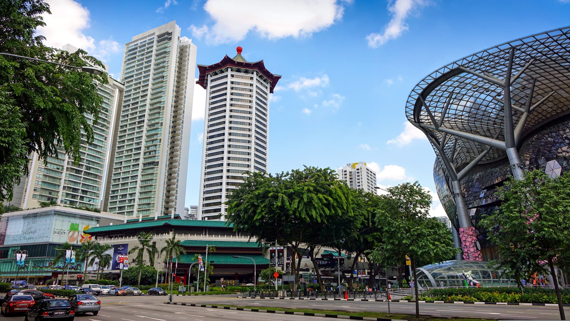 Central Singapore coliving